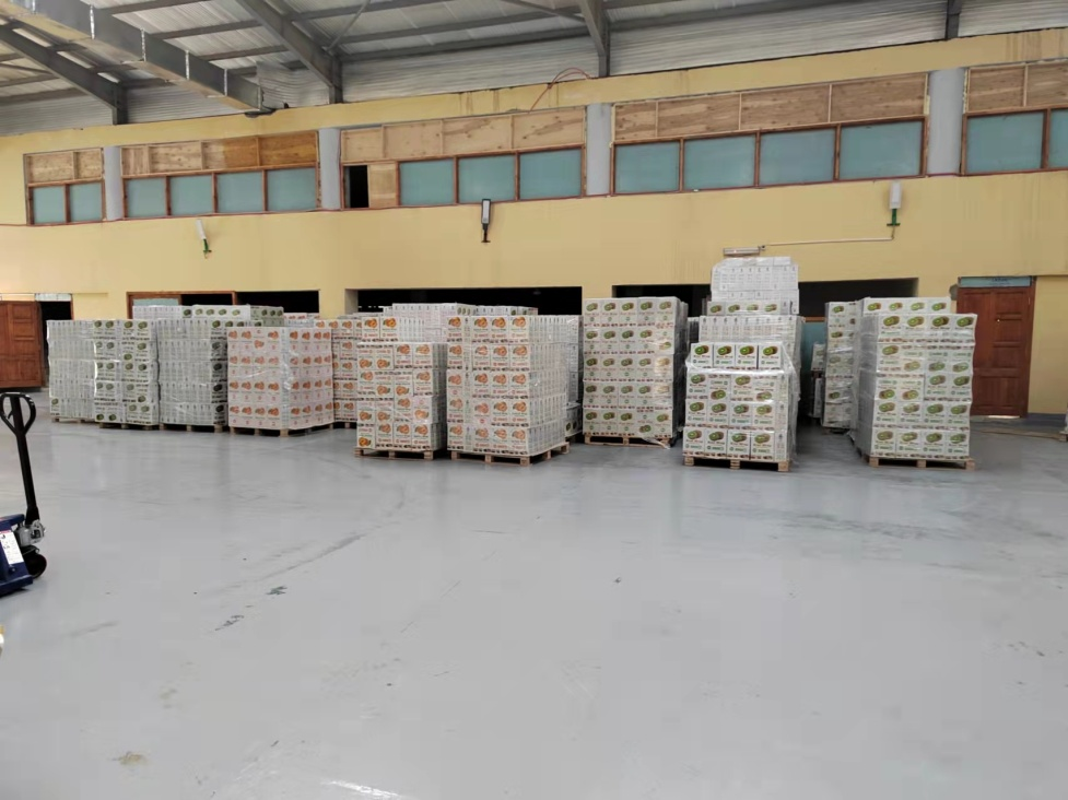 SJLY-2100 PVC Film Line Onsite Photos